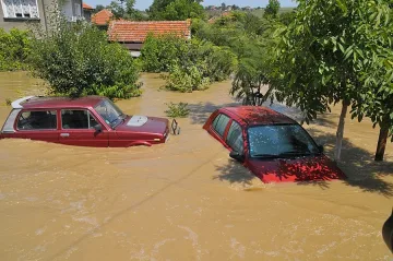 Мизия под вода