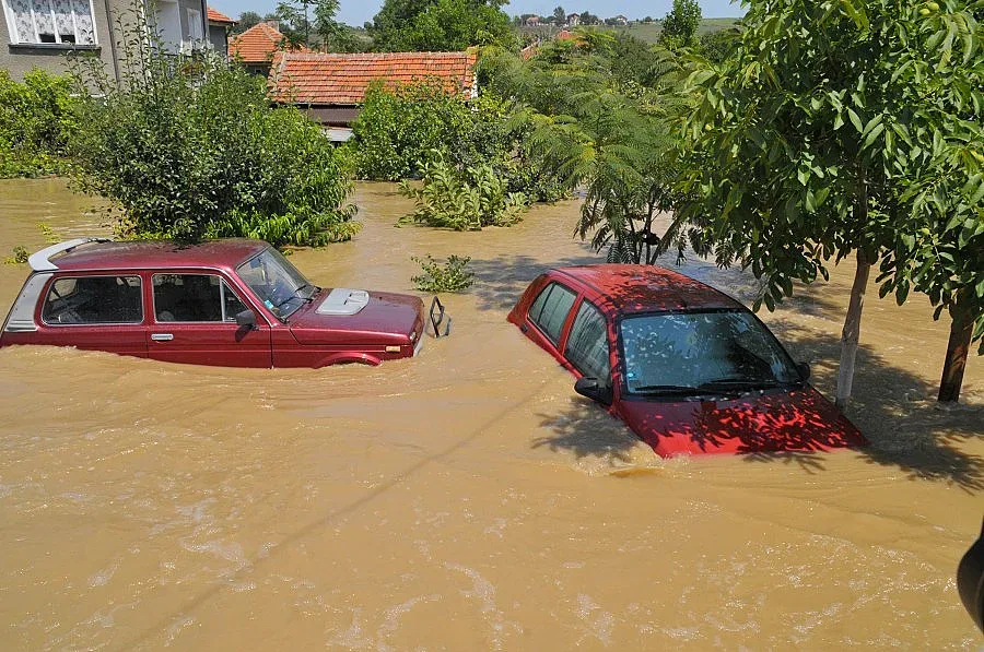 Мизия под вода