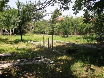 Биоградина засадиха ученици със специални потребности