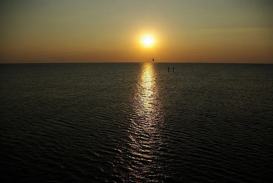 Жега в неделя