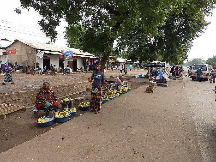 Към Черния континент в родината на човешкия род