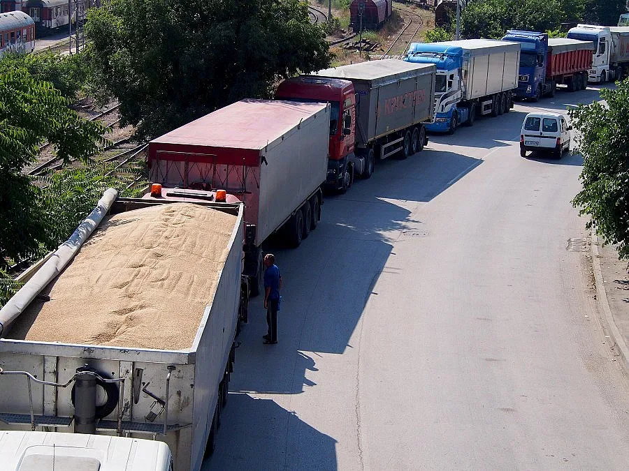 Зърното с 10% по-евтино