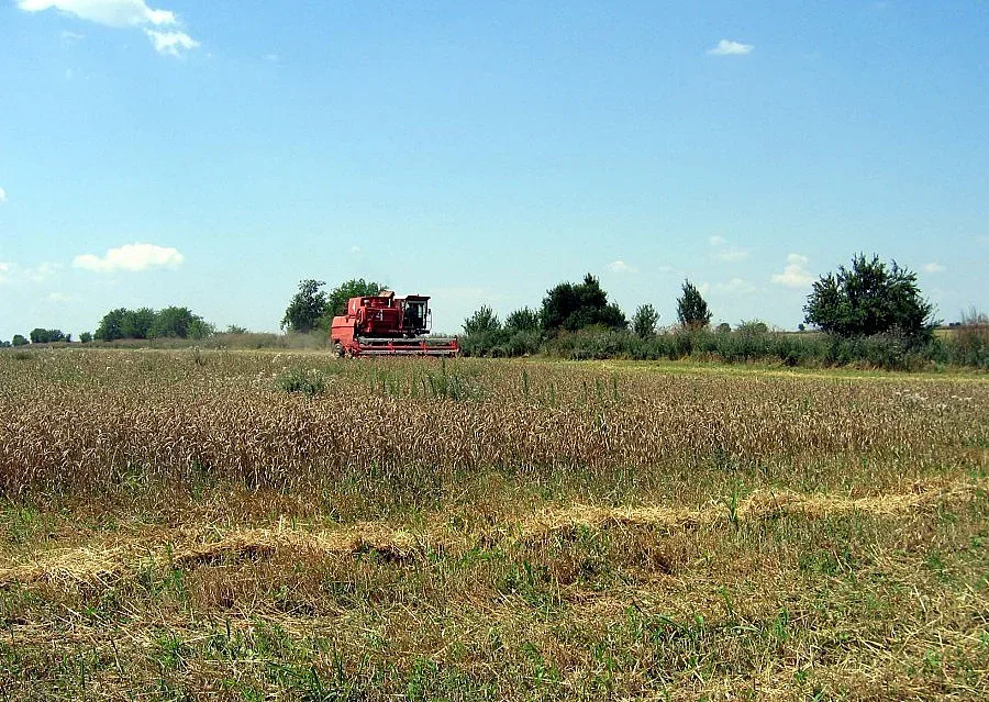 Брокер: Цената на хляба трябва да падне