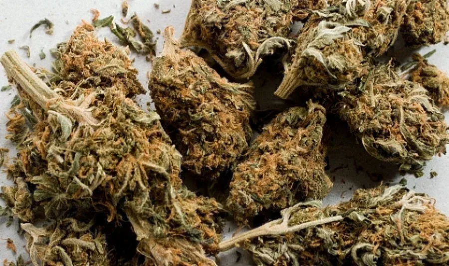 Шофьор изхвърли канабис преди полицейска проверка