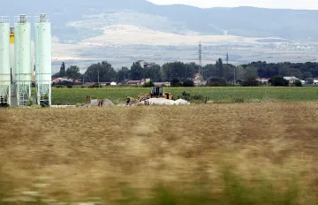 Украйна сваля цената на житото