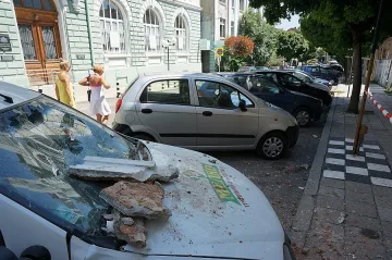 Дърво падна на алеята до плажа във Варна