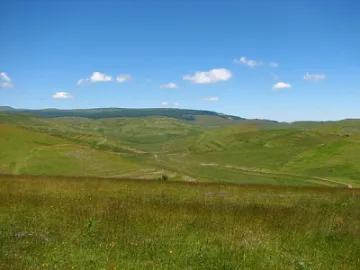 Фермери на война заради липса на пасища