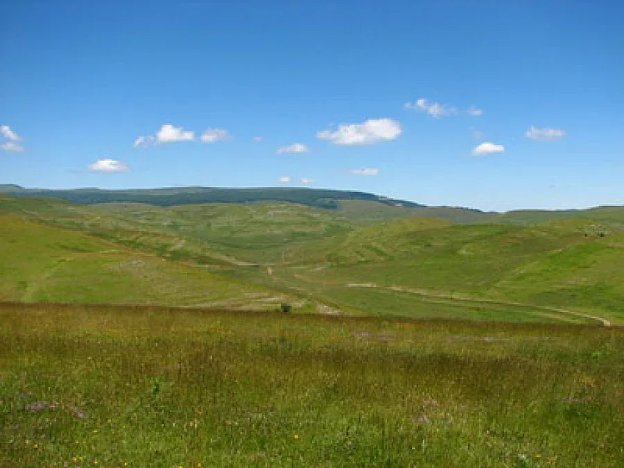Фермери на война заради липса на пасища