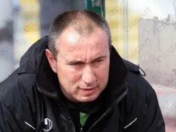 Мъри гори с 500 бона