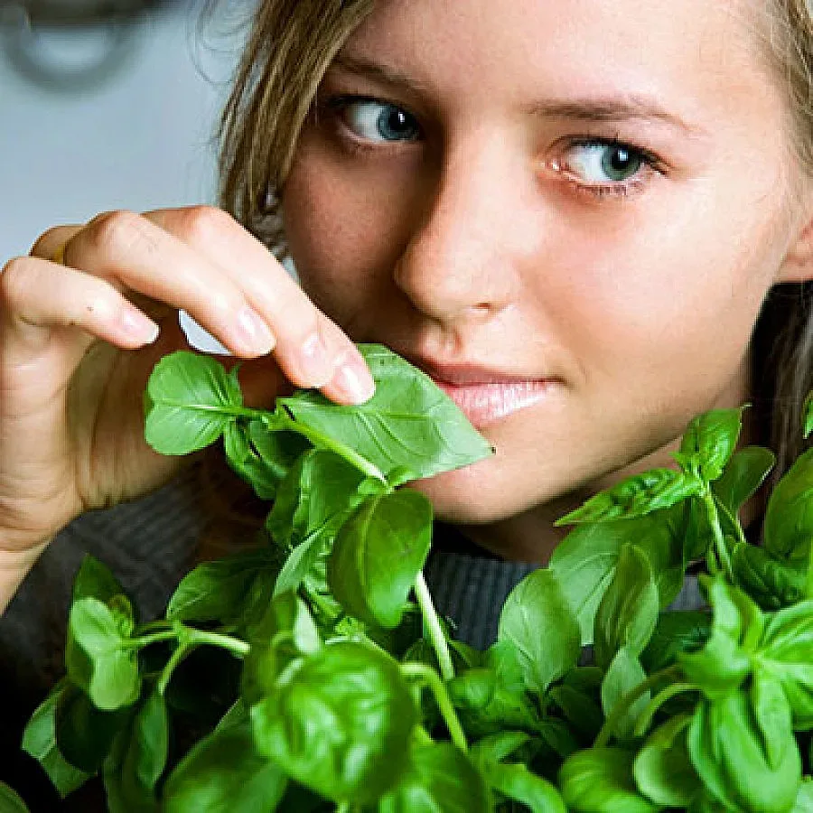 5 билки на безсмъртието. Правят чудеса