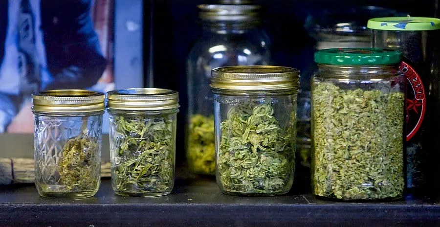 Орегон ще гласува за легализирането на марихуаната