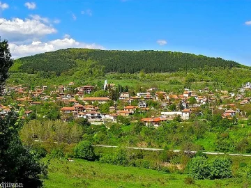 Баби търсят внучета назаем