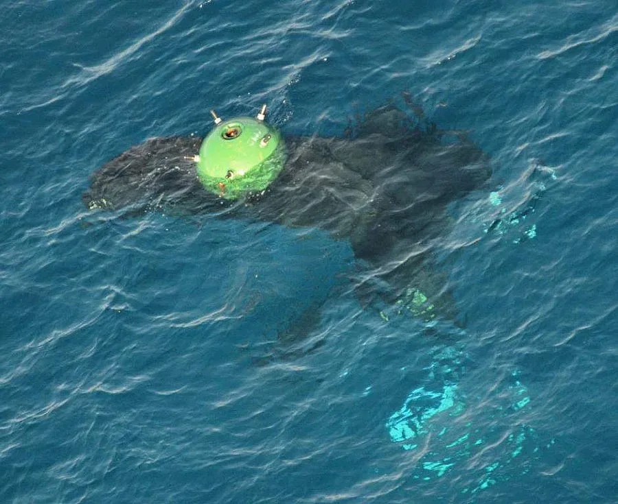 Водолаз откри опасна мина в морето