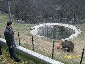 Инфаркт уби мечка ден след преглед в София