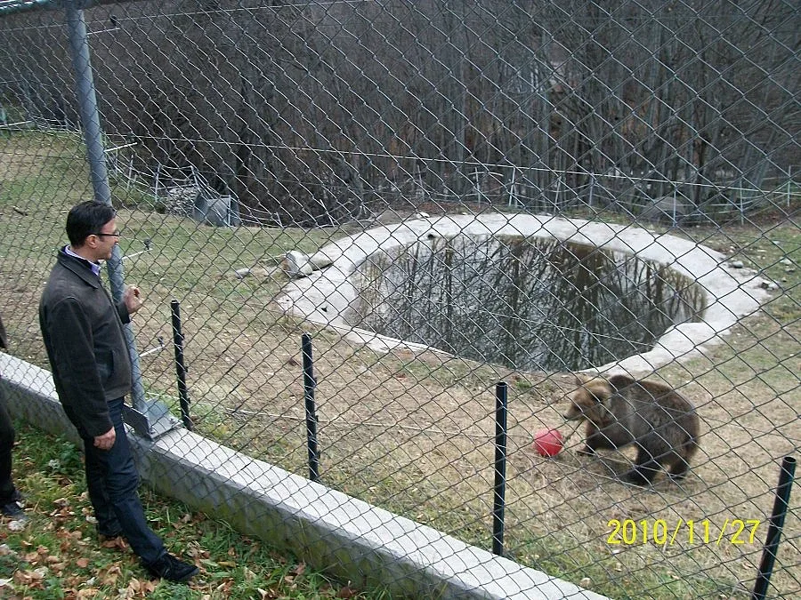 Инфаркт уби мечка ден след преглед в София