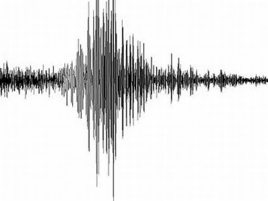 3,2 по Рихтер в близост до Смолян