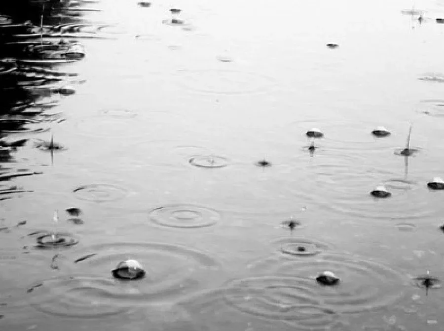 Слаб дъжд и гръмотевици в четвъртък