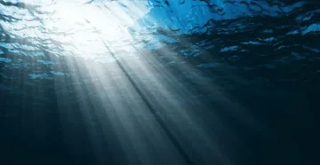Чужди кораби с разрешение за изследвания в Черно море