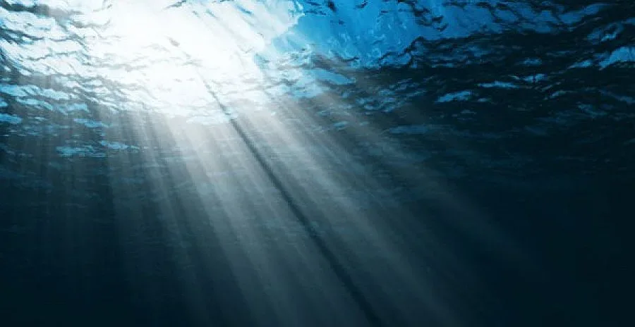 Чужди кораби с разрешение за изследвания в Черно море