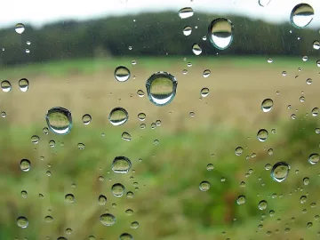 Пореден дъждовен ден