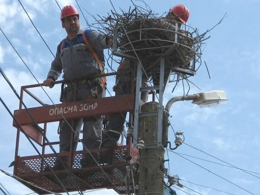 Енергото в акция "Щъркели"