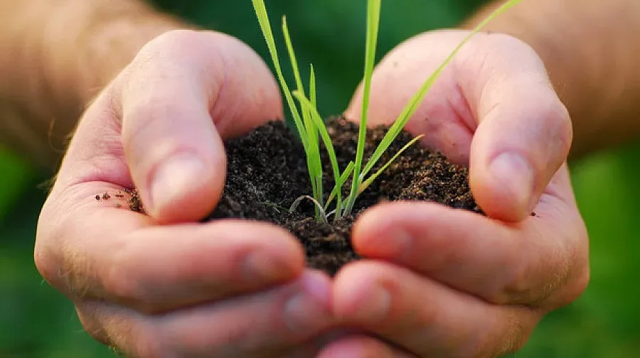 България няма да изгуби 1 млрд. лв. за селските райони