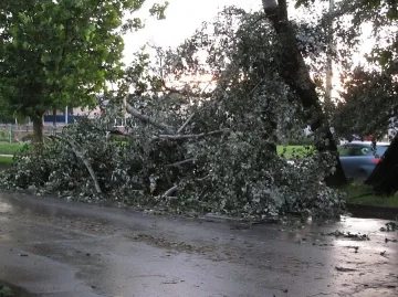 Гръмотевична буря остави село без ток, събори дървета