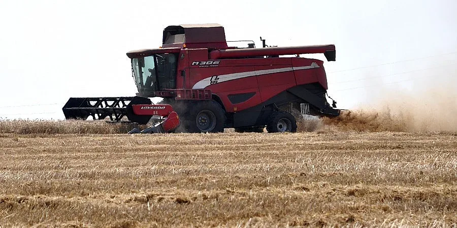 Италианци изкупуват хасковската пшеница