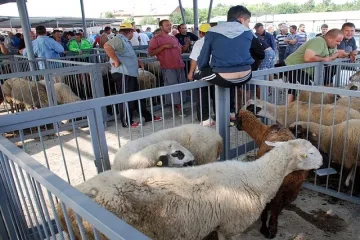 Затвориха животинските пазари и в Старозагорско