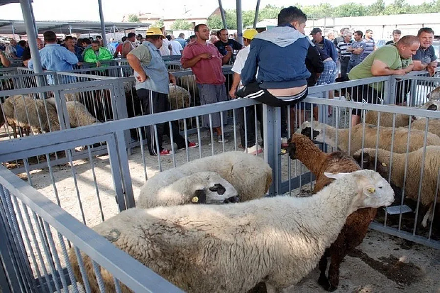 Затвориха животинските пазари и в Старозагорско
