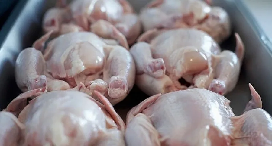 Пилешко със салмонела в търговската мрежа на Пловдив