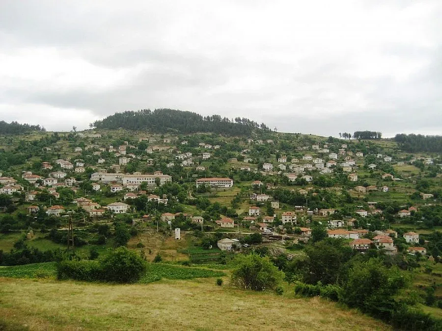 Обгазиха със серен диоксид Гълъбово