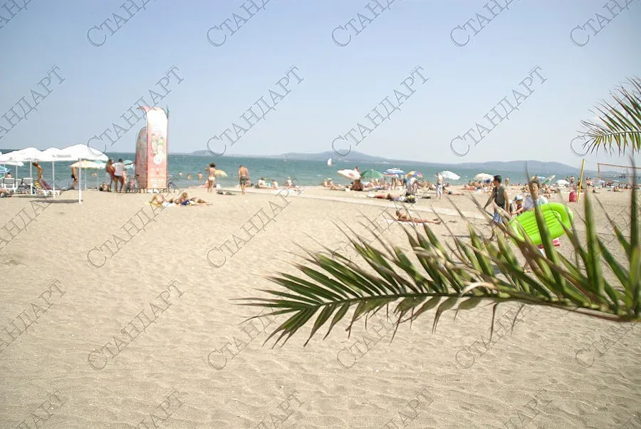 Българското посолство в Русия издаде 200-хилядната виза за 2014-а