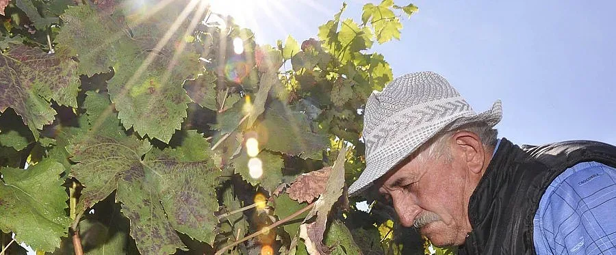 Войната в Украйна удари избите ни