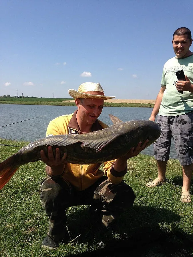 Уловиха над 17 кг шаран на протеиново топче