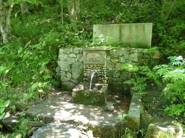 Стотици празнуваха Деня на чешмата в община Сатовча