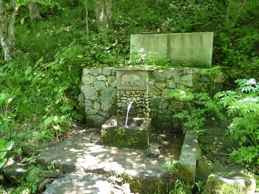 Стотици празнуваха Деня на чешмата в община Сатовча