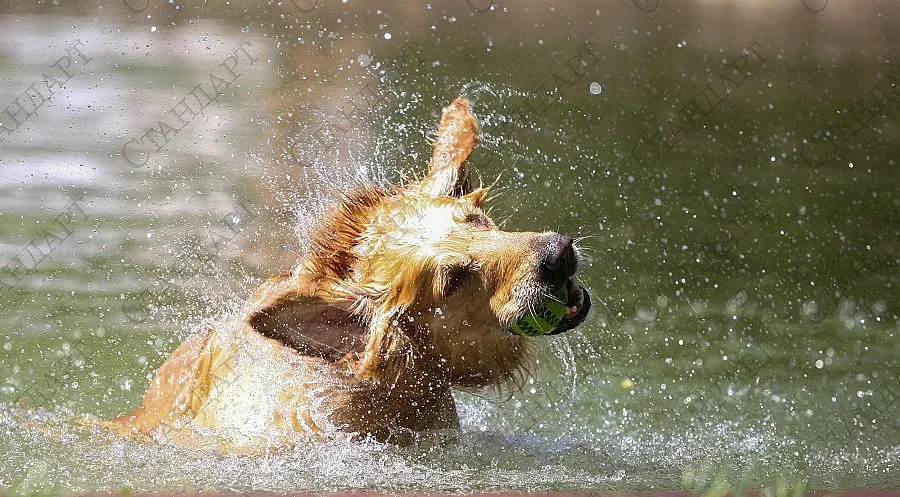 Слънце на запад, облаци на изток на 5 юли