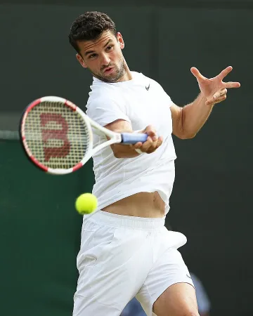 Фараж, гледа ли Гришо?