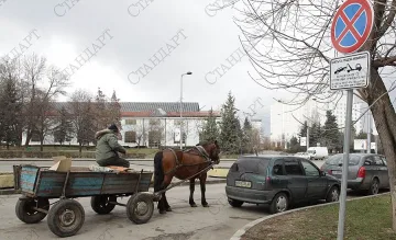 Каруцар падна и счупи черепа си