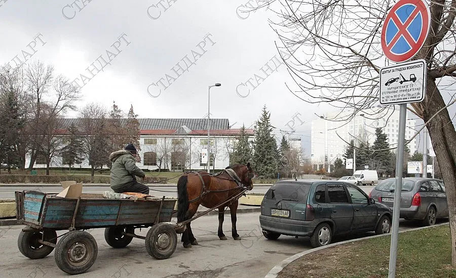 Каруцар падна и счупи черепа си