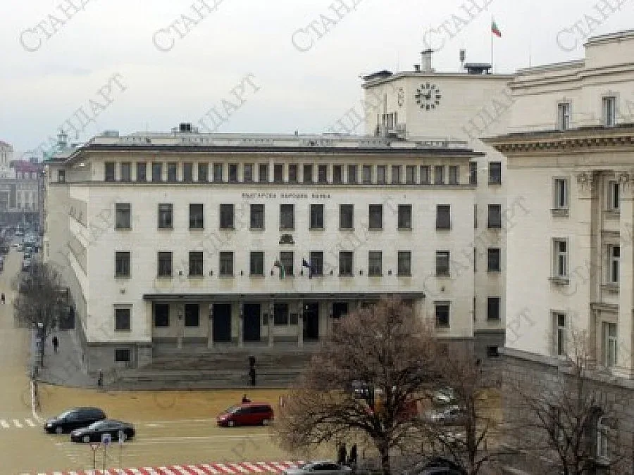 Само дребни риби в ареста не стига