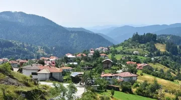 Родопско село стана магнит за китайски туристи
