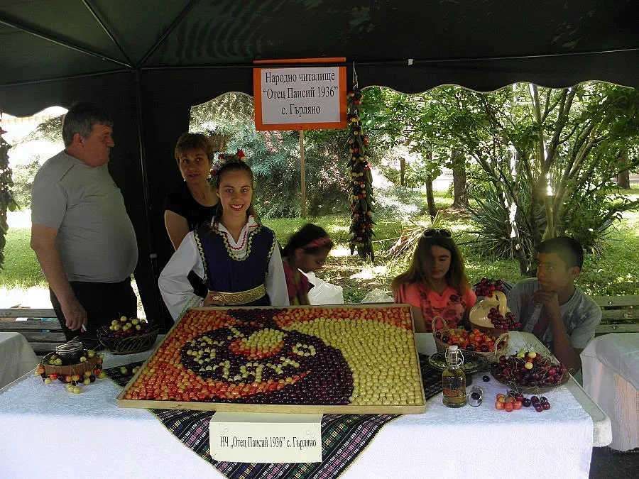 Заради пороите: Черешите станаха на ракия