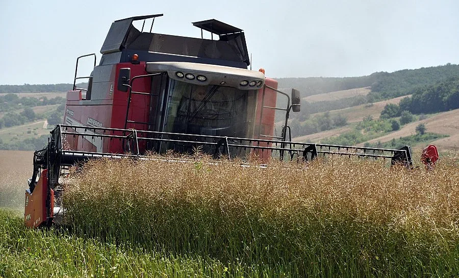 20% по-слаби добиви на пшеница чакат на юг