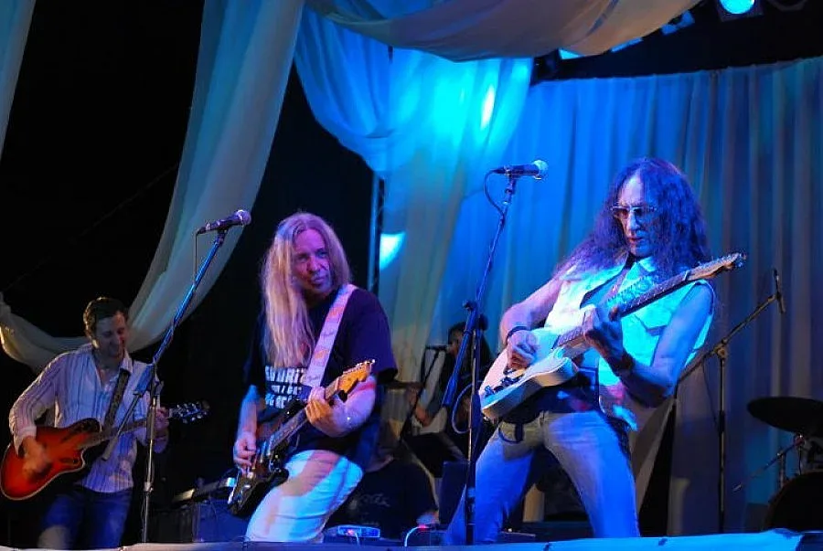 Вигенин кани Кен Хенсли