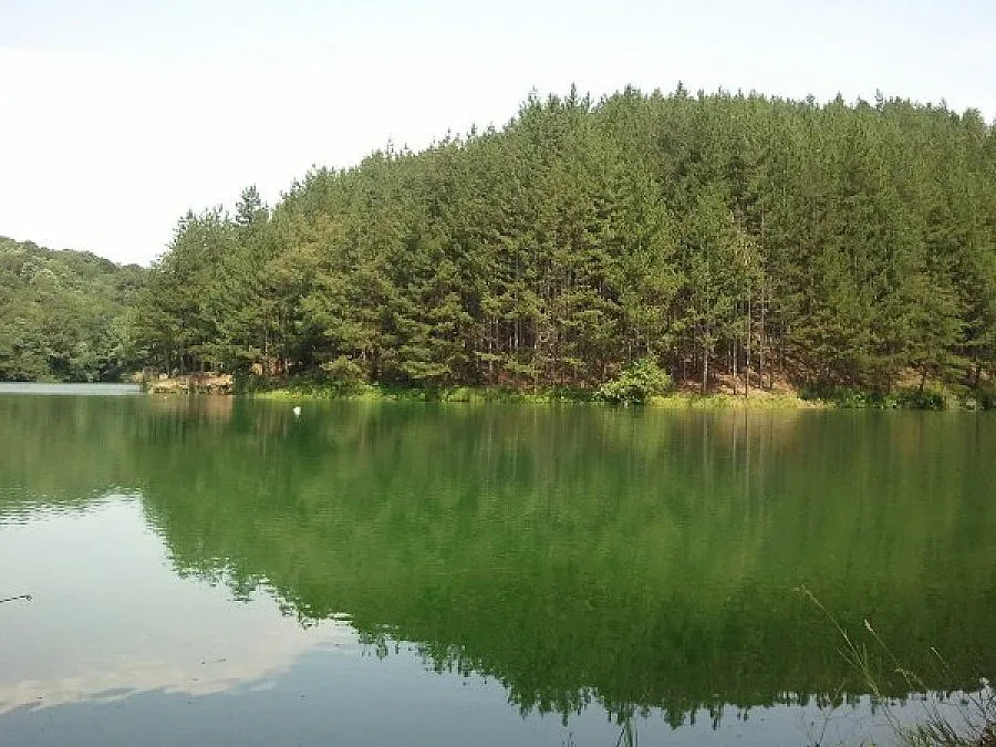 Пет са рисковите водоеми в Кърджалийско