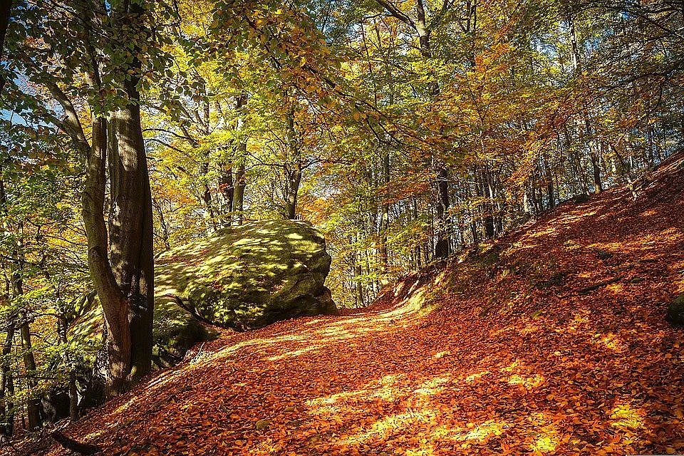Слънчево и хладно есенно време. Промяна с температурите до дни