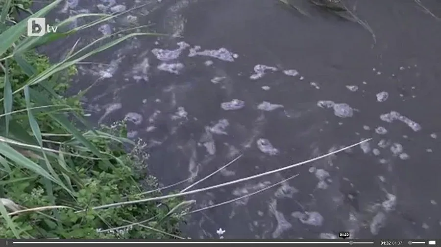 Нови кафеви петна плашат къмпингуващи на "Градина"