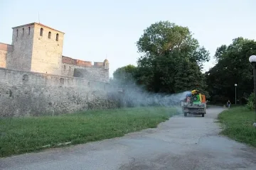 Морят комарите във Видин с турски армаган